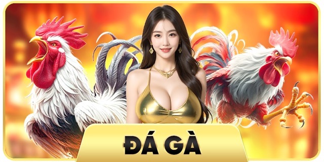 đá gà